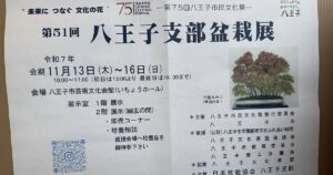 八王子市民文化祭・第51回八王子支部盆栽展が11/13よりいちょうホールで開催