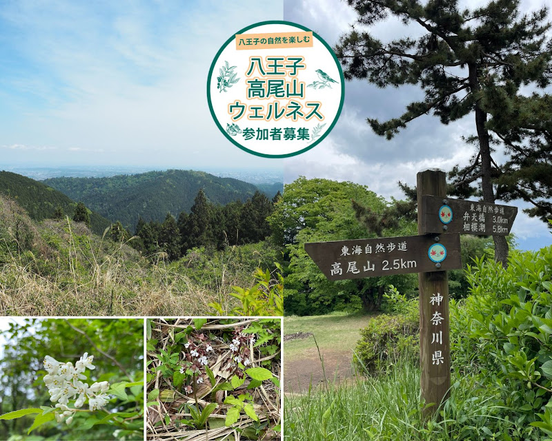 ハイキングガイドツアー「小仏城山に登ろう」が5/12、16に小仏城山、高尾山で開催！_800