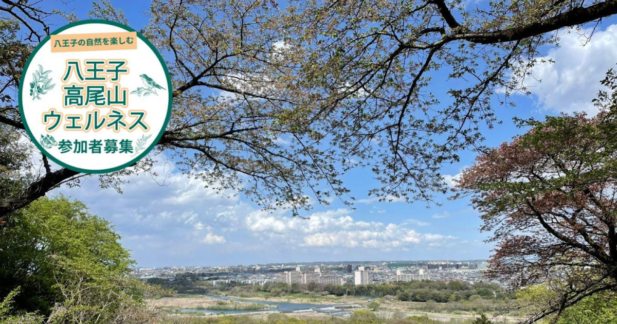 ハイキングガイドツアー「春の滝山丘陵」が4/7・4/11に都立滝山自然公園他で開催！桜と歴史を満喫_ogp