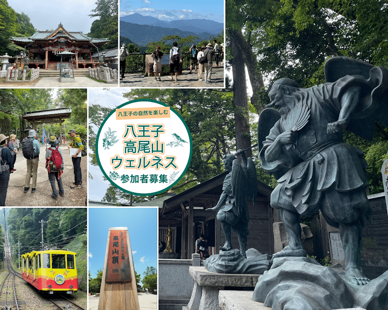 「春の高尾山さんぽ（ショートプログラム）」が4/18に高尾山で開催！新緑を満喫_800