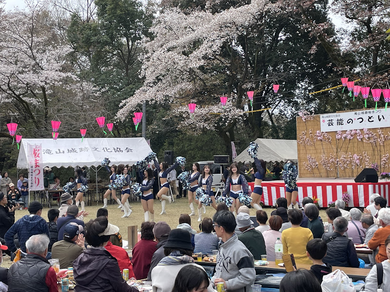 第61回滝山城跡桜まつりが4/4に滝山城跡公園及び都立滝山公園で開催！約5000本の桜を満喫_800