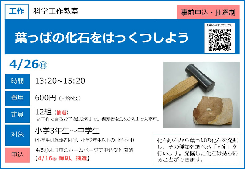 葉っぱの化石をはっくつしようが4/26にこども科学館で開催！小中学生対象の化石発掘体験_800
