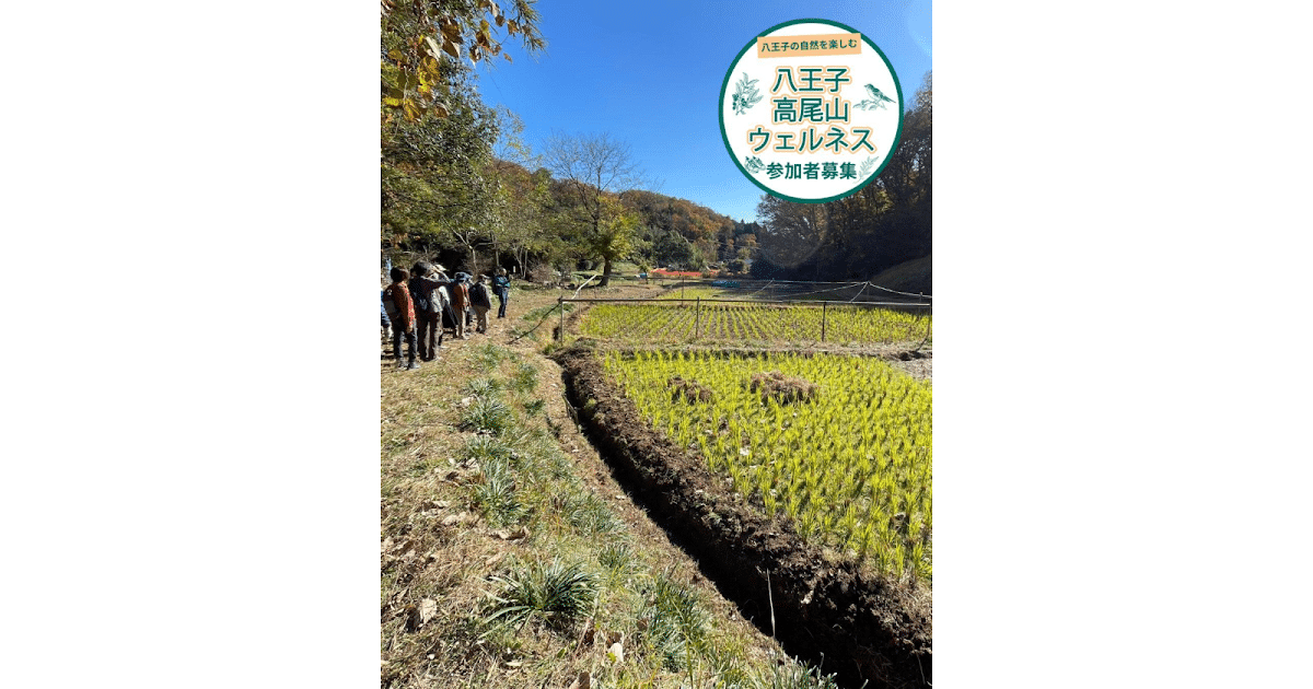 新緑の多摩丘陵・由木、植物観察ウォーキングが5/15に多摩丘陵・由木方面で開催！自然を満喫_ogp