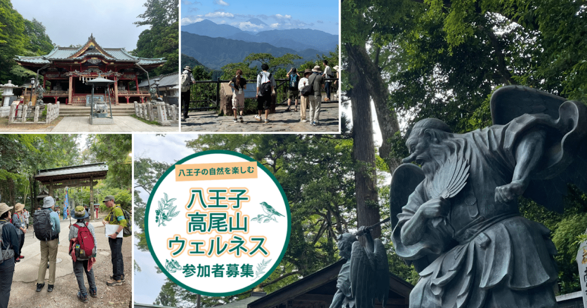 ハイキングガイドツアー「日本遺産『桑都物語』の高尾山」が6/7に高尾山で開催！_ogp