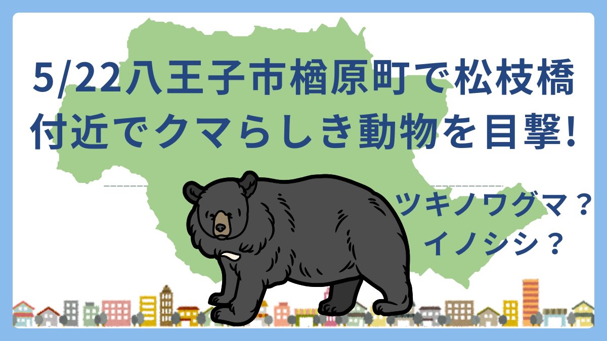 2026年5月22日(金)午後6時頃、八王子市楢原町の松枝橋付近の河川内で「クマらしき動物」を目撃したとの通報されるも、現地調査でツキノワグマの痕跡情報は確認されず