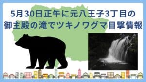 2026年5月30日(土)午後0時10分頃、八王子市元八王子町3丁目の八王子城跡内において、入山者が御主殿の滝付近でツキノワグマ1頭を目撃したとの報告