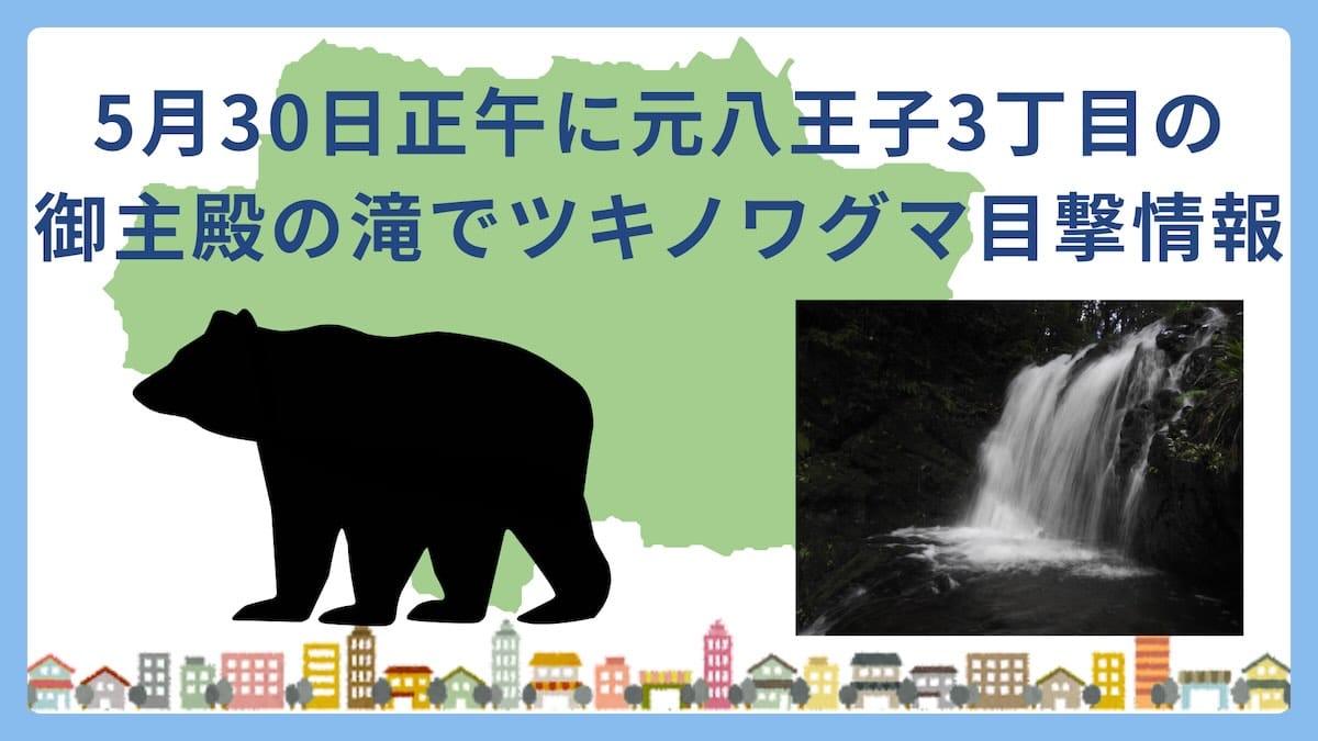 2026年5月30日(土)午後0時10分頃、八王子市元八王子町3丁目の八王子城跡内において、入山者が御主殿の滝付近でツキノワグマ1頭を目撃したとの報告