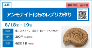 アンモナイト化石のレプリカ作りが8/18・19にこども科学館で開催！小中学生対象の工作教室_ogp