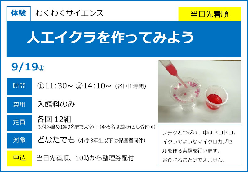 人工イクラを作ってみようが9/19にこども科学館で開催!不思議な実験体験_800