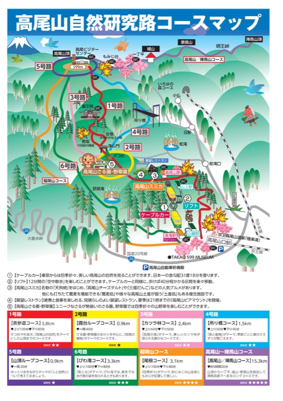 高尾山自然研究路コースマップ。山頂の599メートル地点から1号路が尾根を下り、4号路の吊り橋、2号路、6号路の琵琶滝、ケーブルカー清滝駅と高尾山口駅が描かれている