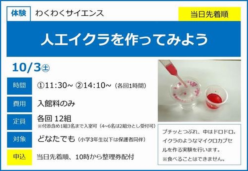 白地に青文字の案内。見出し人工イクラを作ってみよう、10月3日土曜、時間11:30と14:10、費用入館料のみ、定員各回12組、対象どなたでも。右に白い皿の人工イクラと赤い液のビーカー、赤いスポイト