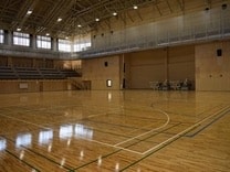 木目の床に白いコートラインと緑のライン。奥に段になった観客席、天井に照明と鉄骨が見える室内競技場