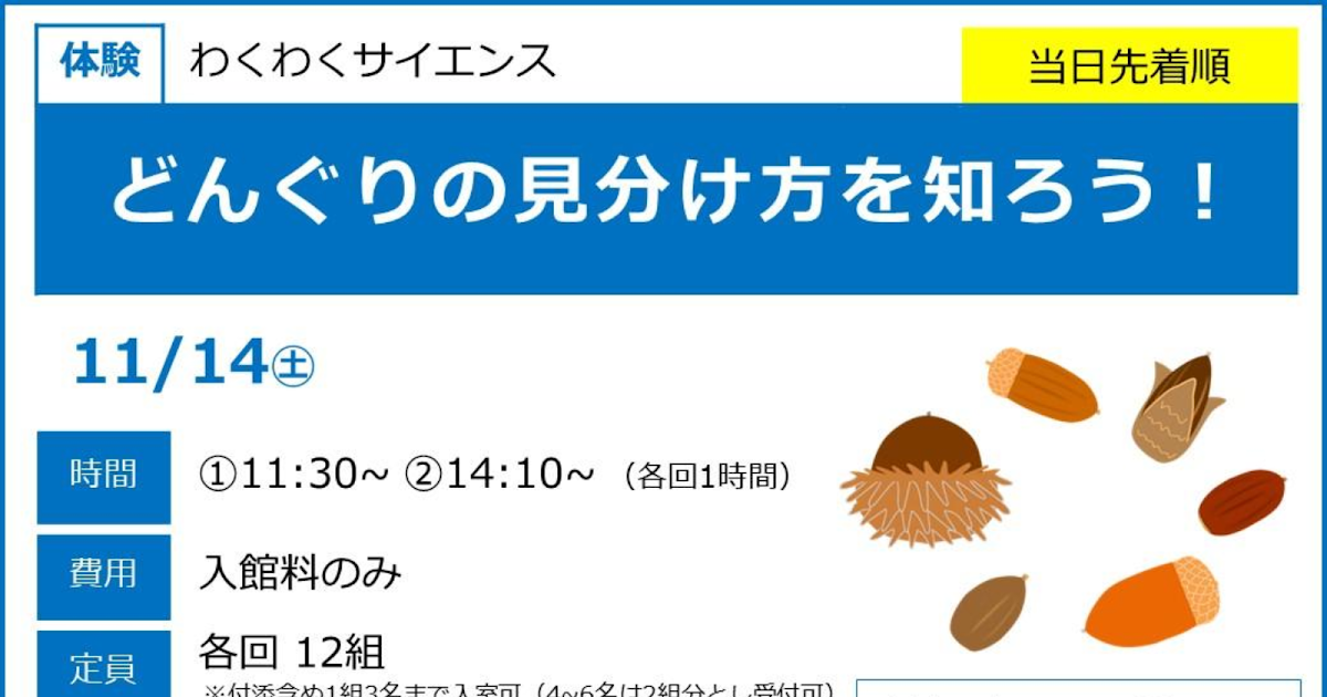 わくわくサイエンス どんぐりの見分け方を知ろう！が11/14にこども科学館で開催！_ogp