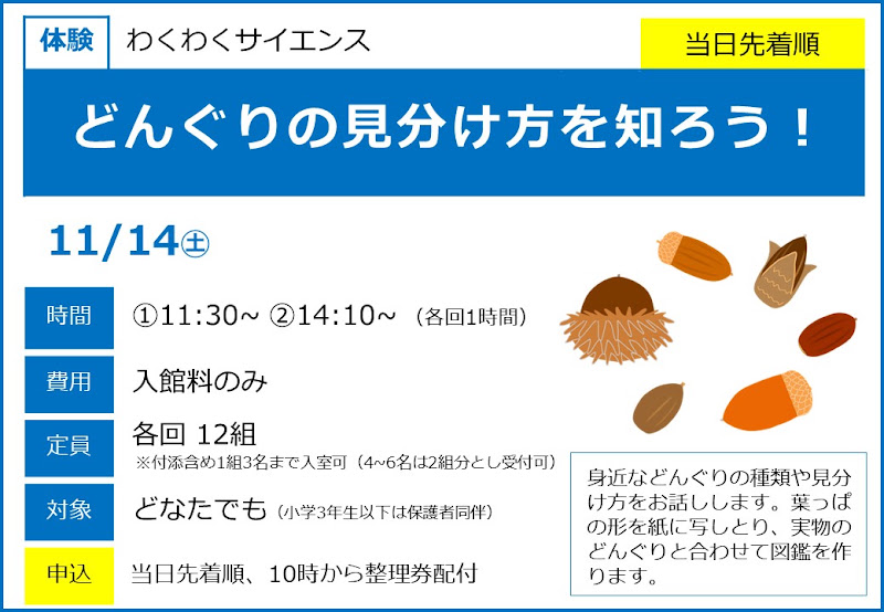 わくわくサイエンス どんぐりの見分け方を知ろう!が11/14にこども科学館で開催!_800