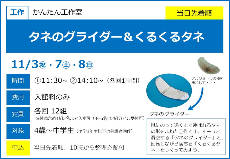 タネのグライダー&くるくるタネが11/3ほかにこども科学館で開催!自然の仕組みを学ぶ工作_800